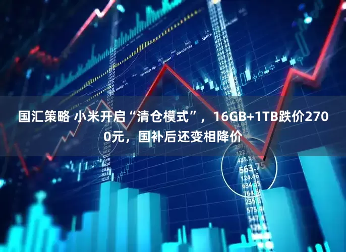 国汇策略 小米开启“清仓模式”，16GB+1TB跌价2700元，国补后还变相降价